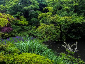 気温を下げてモチベを上げるエコなやつ 天然クーラーは４ 涼しい ディーコープ株式会社